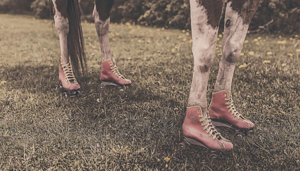 la_importacia de los contenidos