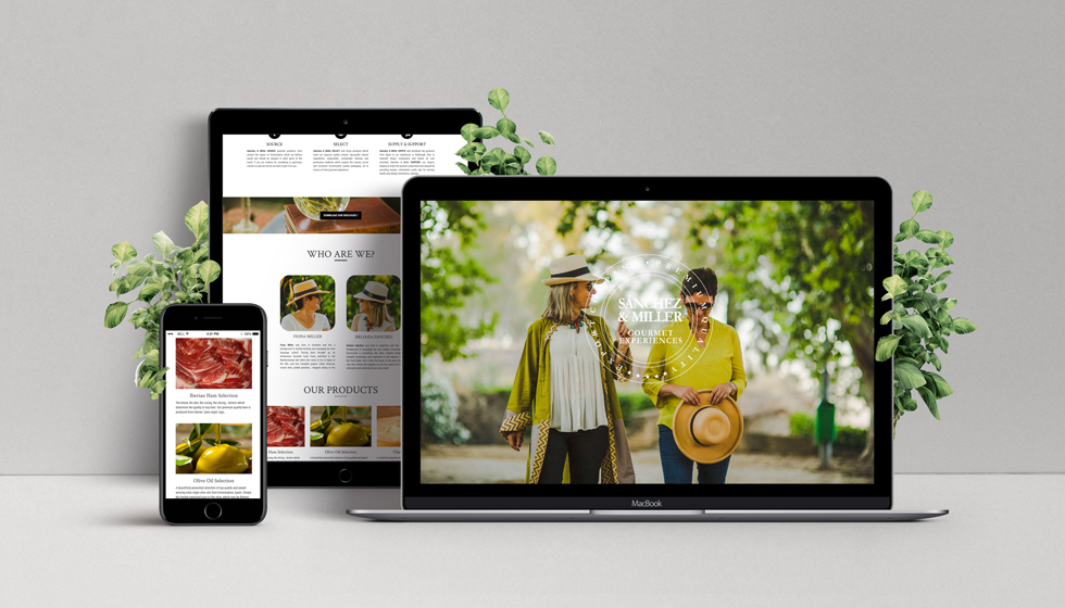 diseño web cáceres sanchez and miller